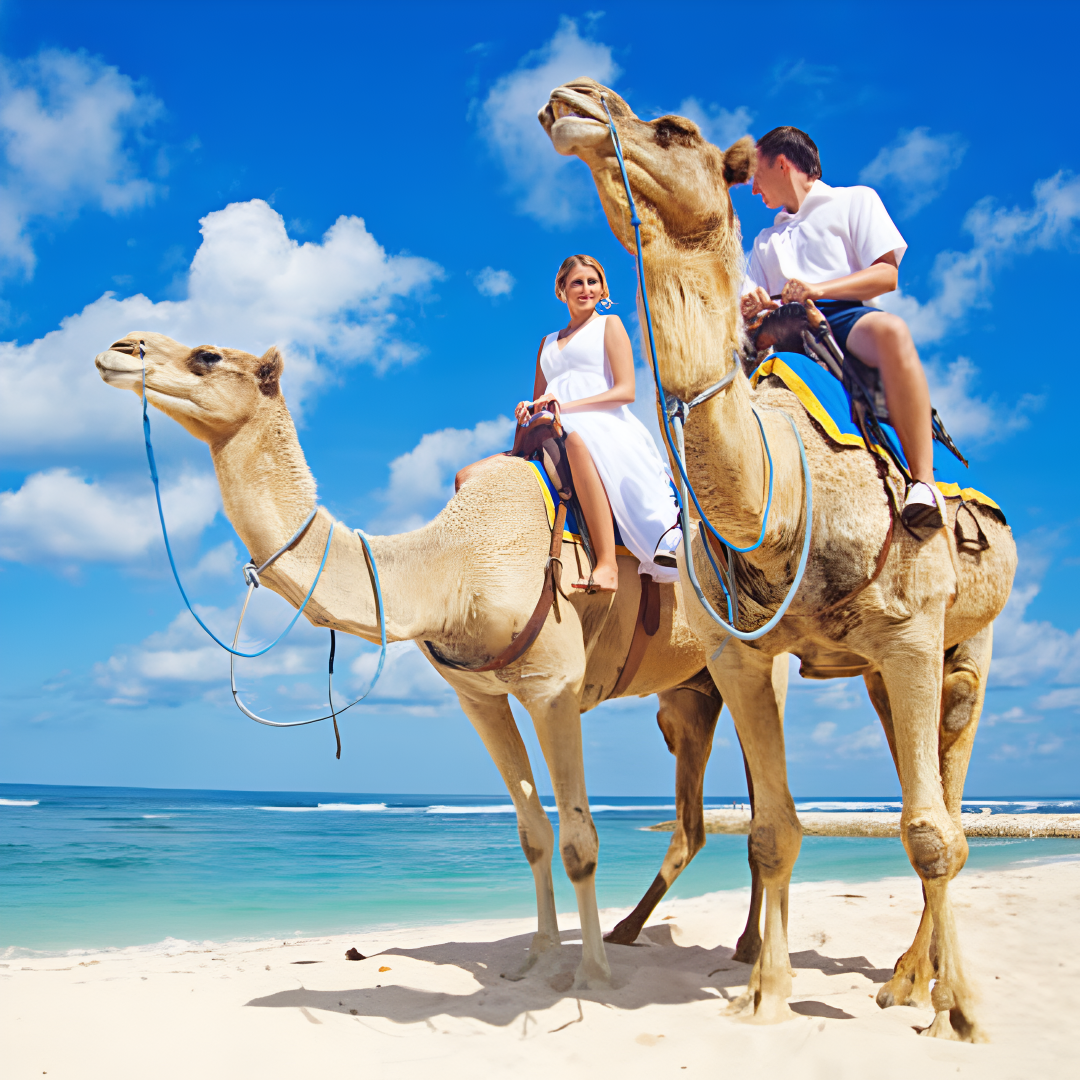 Villa à Djerba avec piscine, jardin, vues imprenables, et activités en plein air, incluant équitation, quad, dromadaire et calèche. Idéale pour des vacances en famille ou entre amis, offrant confort et luxe dans un cadre méditerranéen authentique.