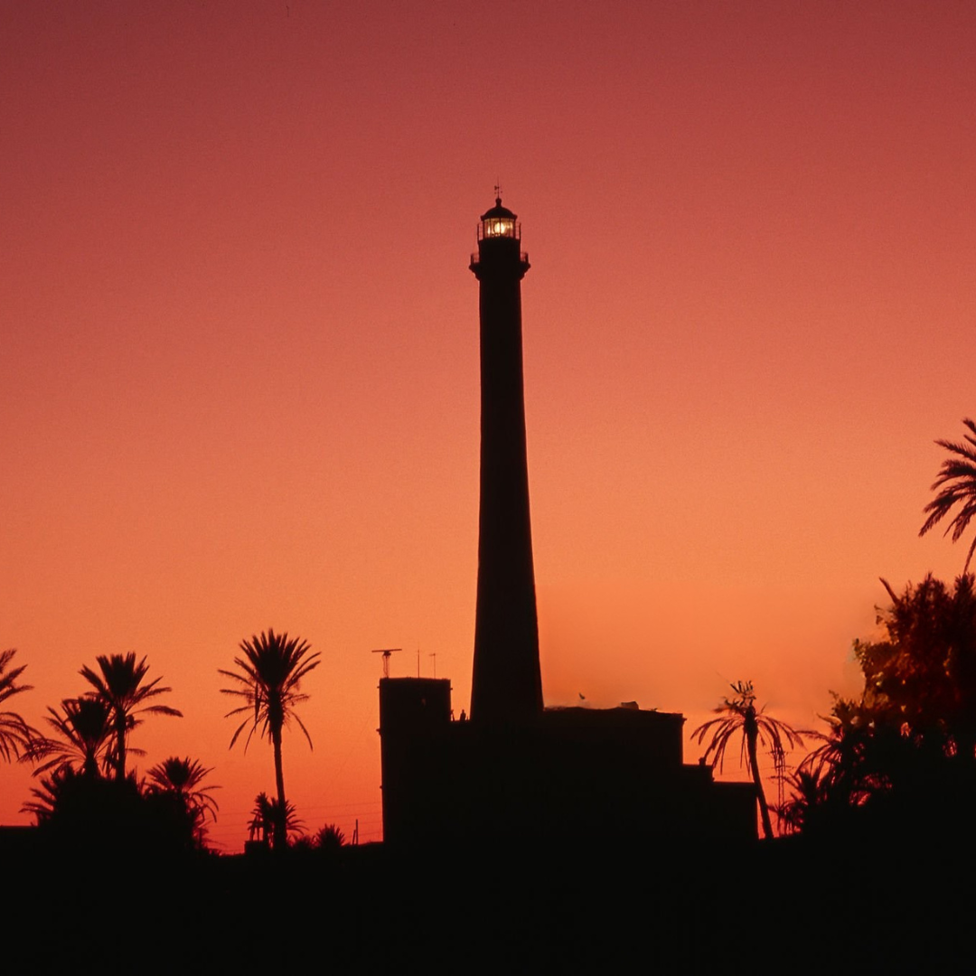 Villa à Djerba avec piscine, jardin, vues imprenables, et activités en plein air, incluant équitation, quad, dromadaire et calèche. Idéale pour des vacances en famille ou entre amis, offrant confort et luxe dans un cadre méditerranéen authentique.